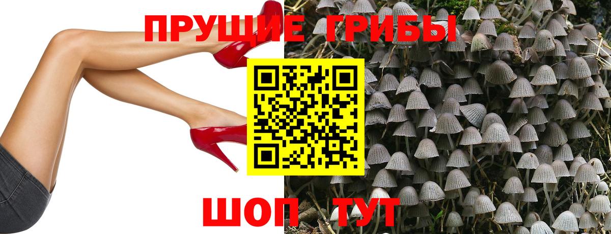Псилоцибиновые грибы Psilocybe  Вход с VPN  Благовещенск 